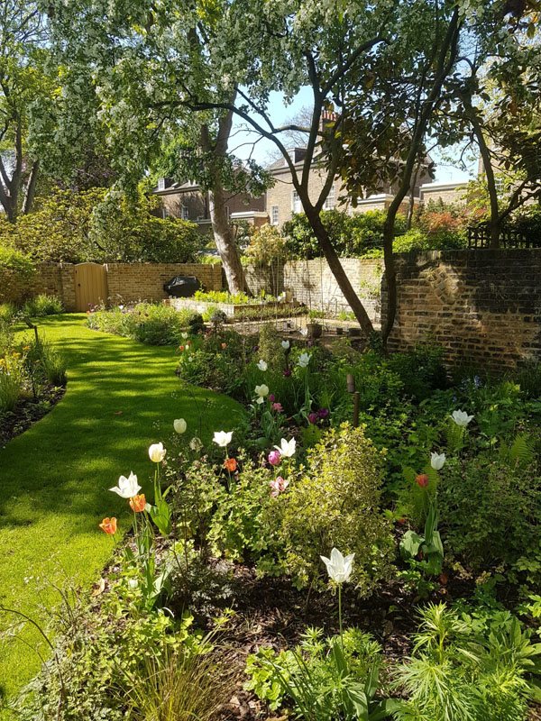 Soft landscaping and planting in a garden border planted by Shoots & Leaves