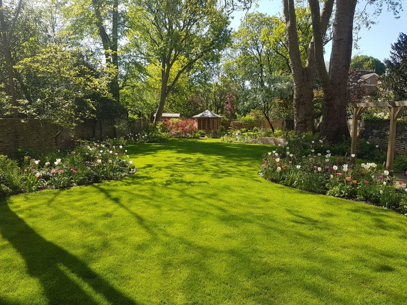 Freshly laid lawn turf in a garden turfed by Shoots & Leaves