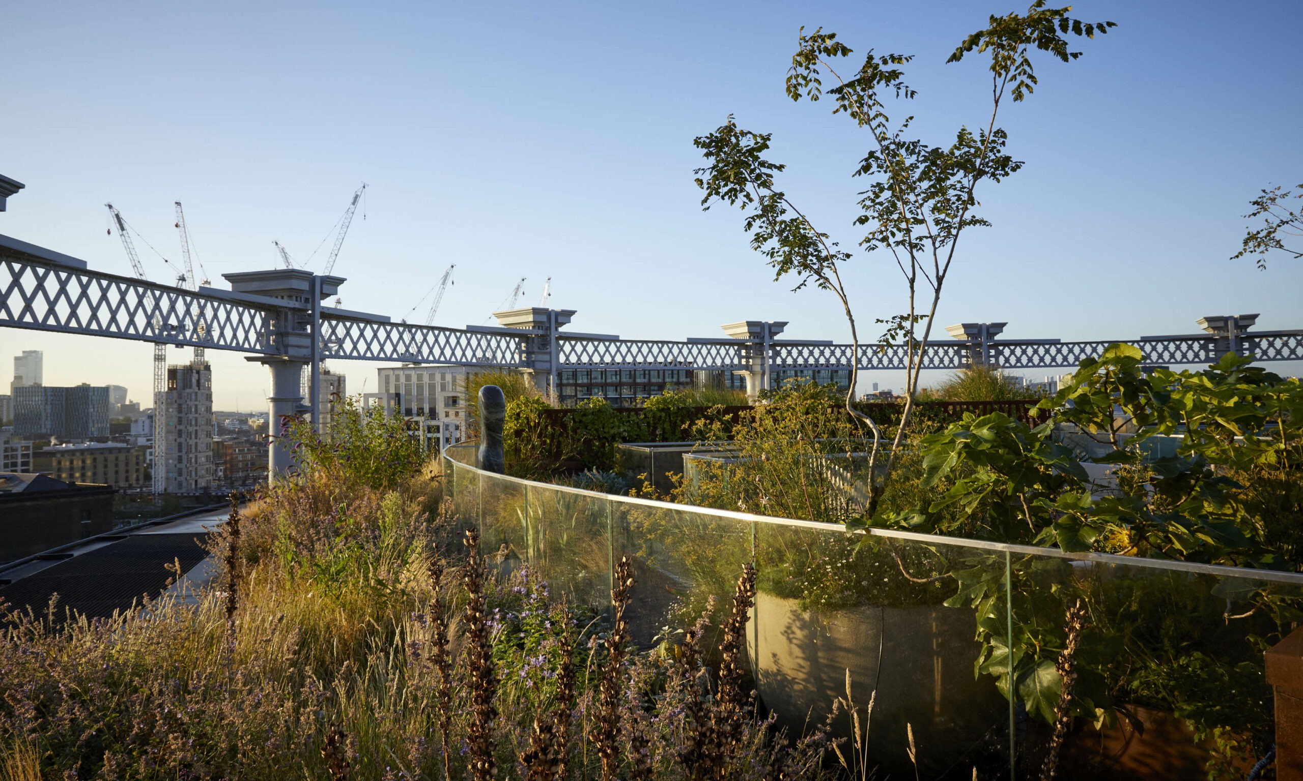 Gasholders London garden landscaped by Shoots & Leaves, viewed from above