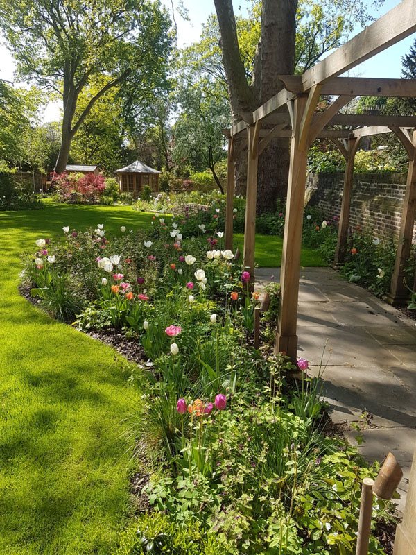 Timber pergola built by Shoots & Leaves in a planted garden