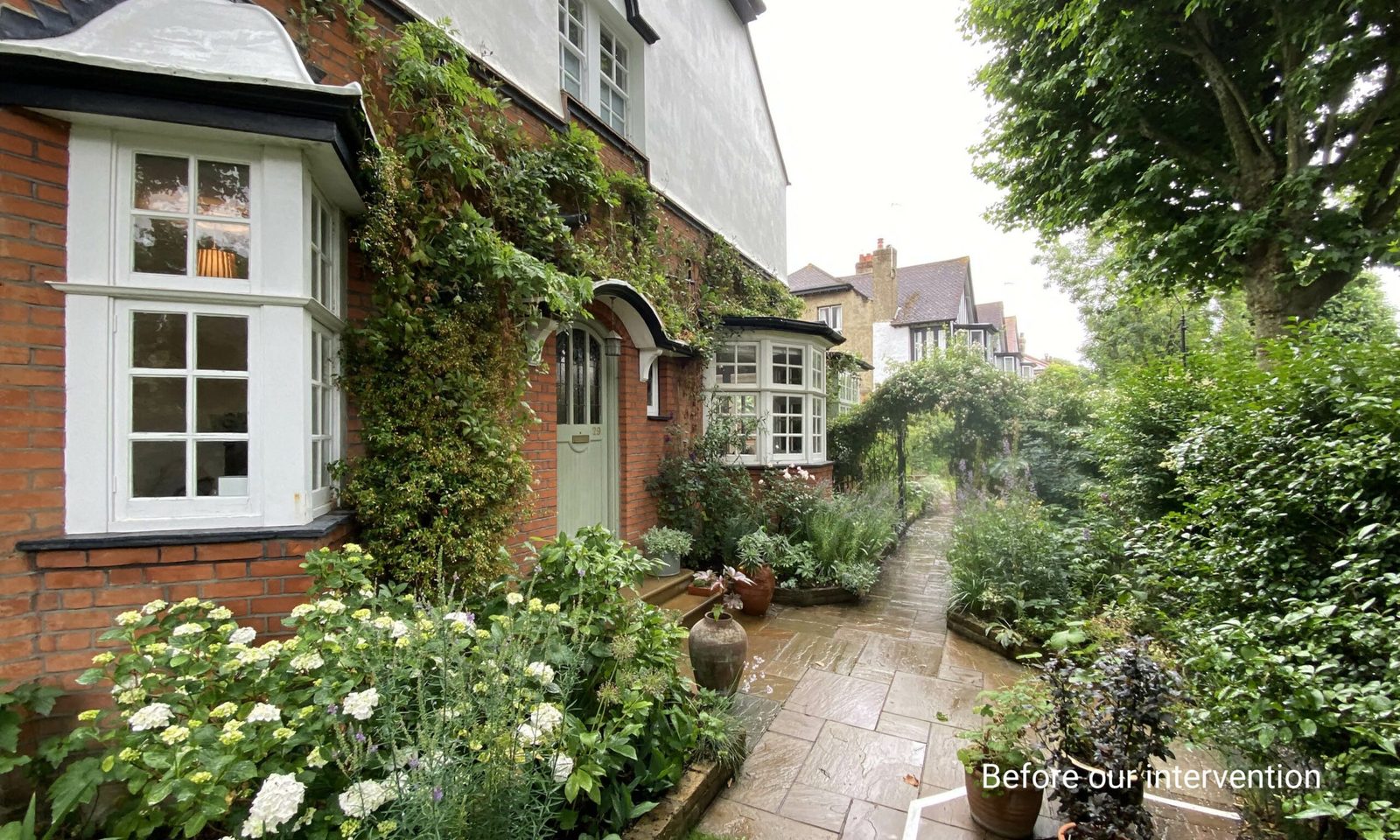 The Photographer’s Garden — the garden before the work began