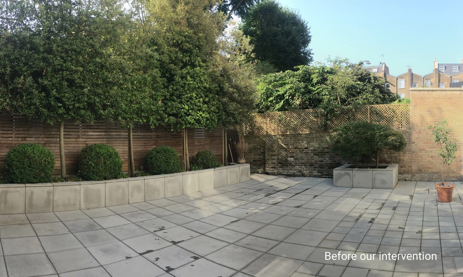 Serenity in the City — the garden before the work began