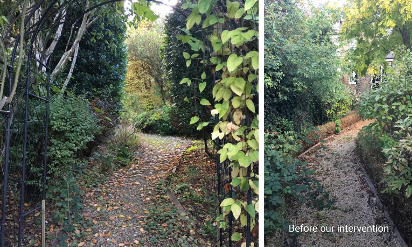 A sense of discovery — the garden before the work began
