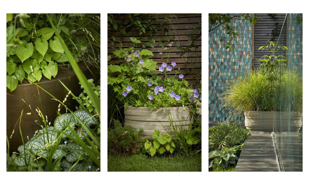 New House, New Garden — garden by Shoots & Leaves, photograph 5