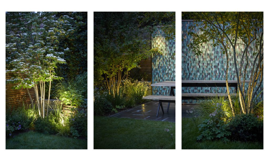 New House, New Garden — garden by Shoots & Leaves, photograph 12