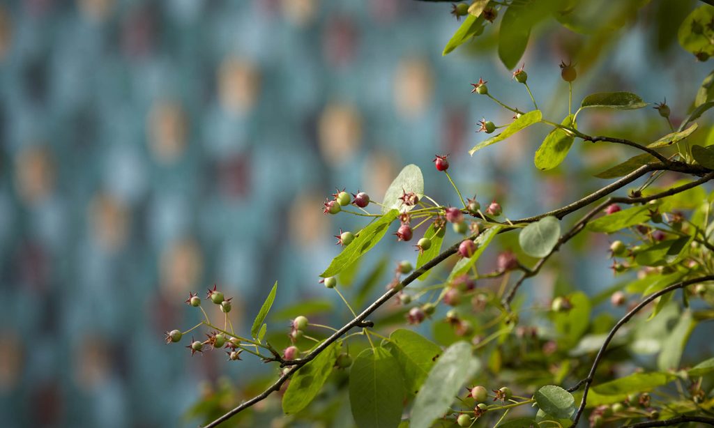 New House, New Garden — garden by Shoots & Leaves, photograph 4