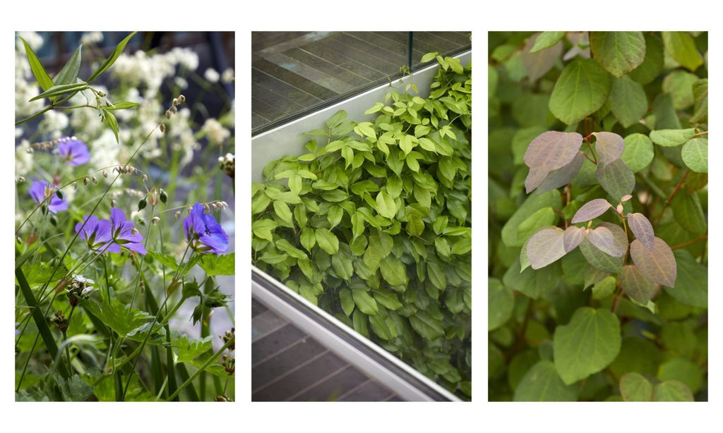 New House, New Garden — garden by Shoots & Leaves, photograph 8