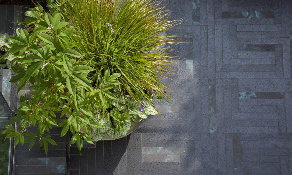 New House, New Garden — garden by Shoots & Leaves, photograph 3