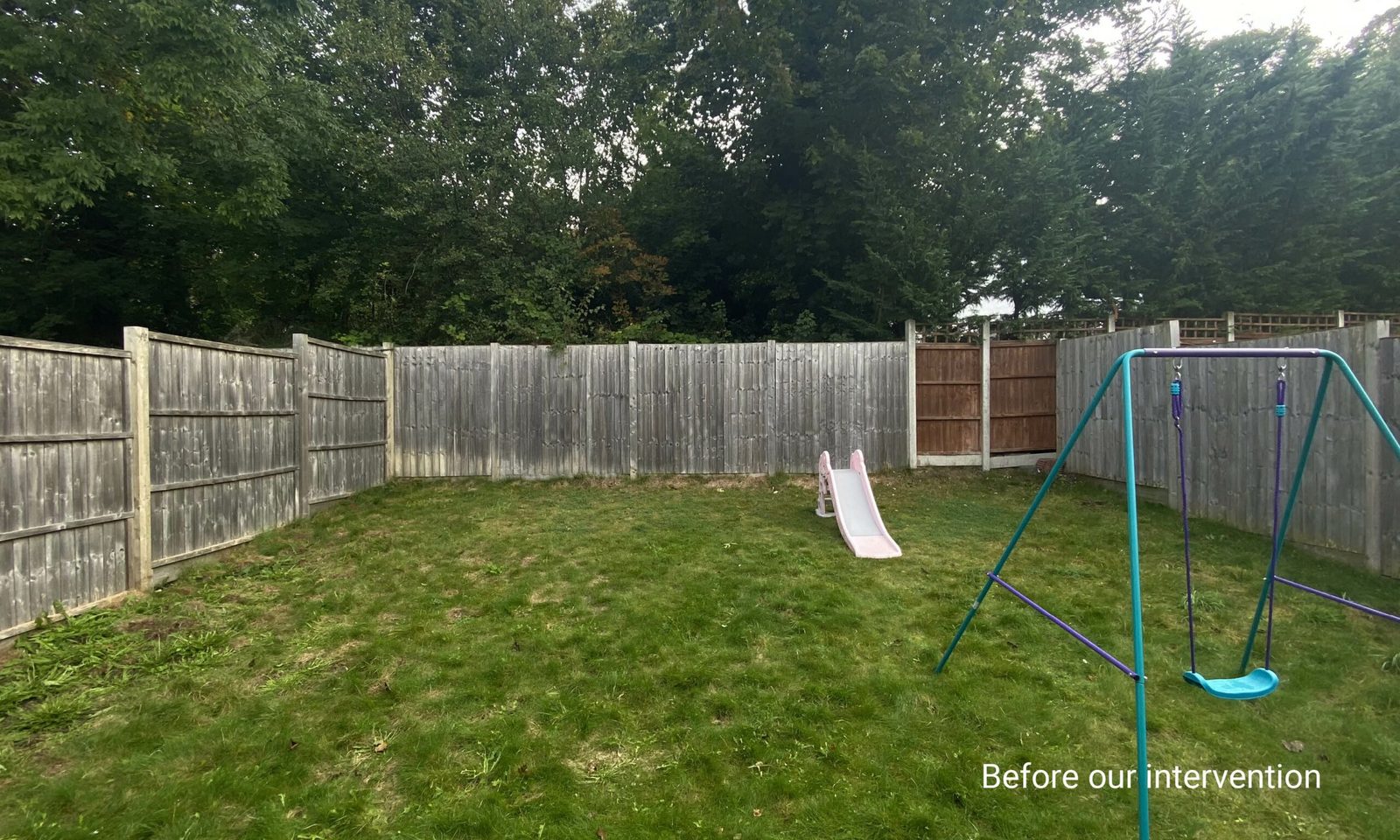 Edgy Woodland Wonderland in Summer — the garden before the work began