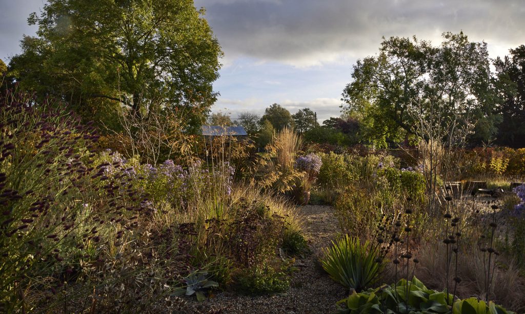 New Beginnings: Church Barn in Autumn — garden by Shoots & Leaves, photograph 11