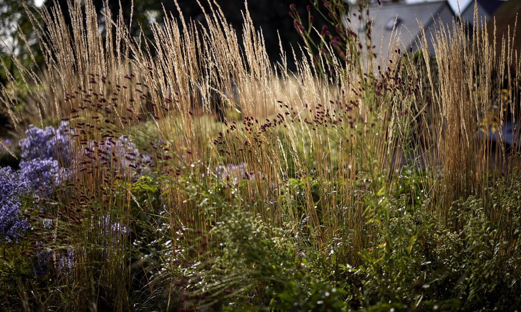 New Beginnings: Church Barn in Autumn — garden by Shoots & Leaves, photograph 4