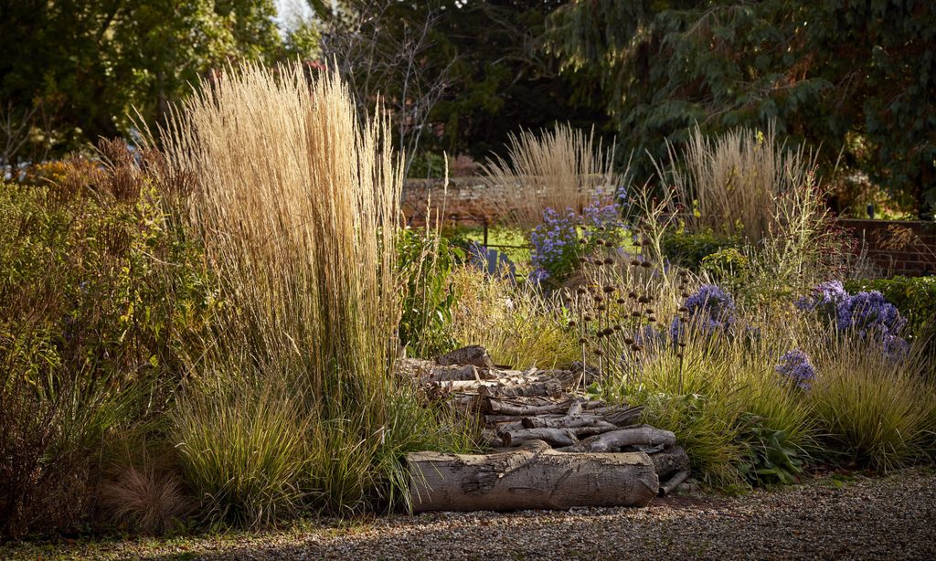 New Beginnings: Church Barn in Autumn — garden by Shoots & Leaves, photograph 14