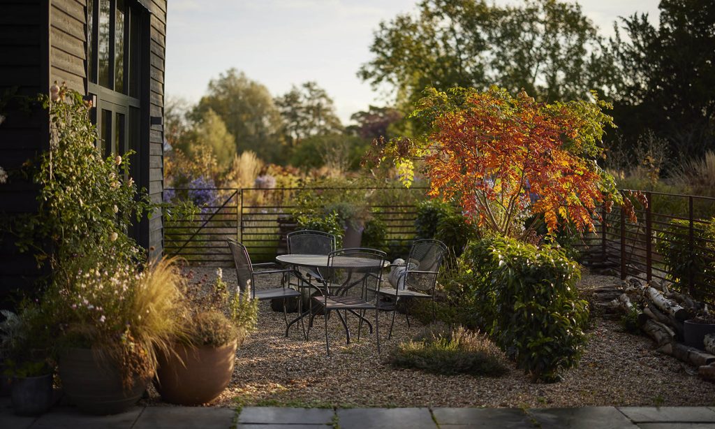 New Beginnings: Church Barn in Autumn — garden by Shoots & Leaves, photograph 17