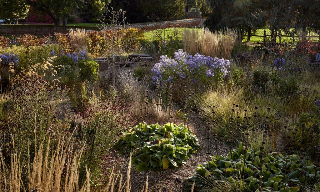New Beginnings: Church Barn in Autumn — garden by Shoots & Leaves, photograph 2