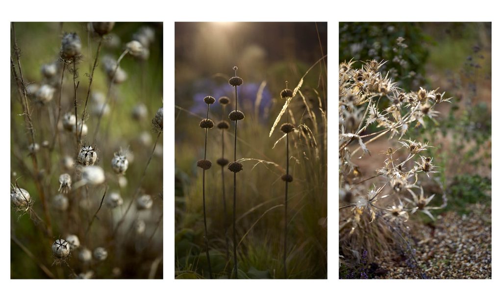 New Beginnings: Church Barn in Autumn — garden by Shoots & Leaves, photograph 7