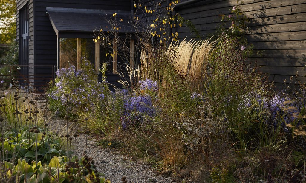New Beginnings: Church Barn in Autumn — garden by Shoots & Leaves, photograph 9