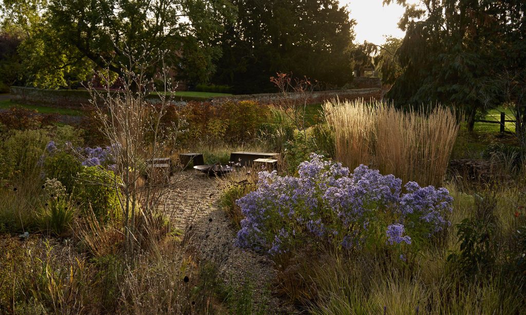 New Beginnings: Church Barn in Autumn — garden by Shoots & Leaves, photograph 10