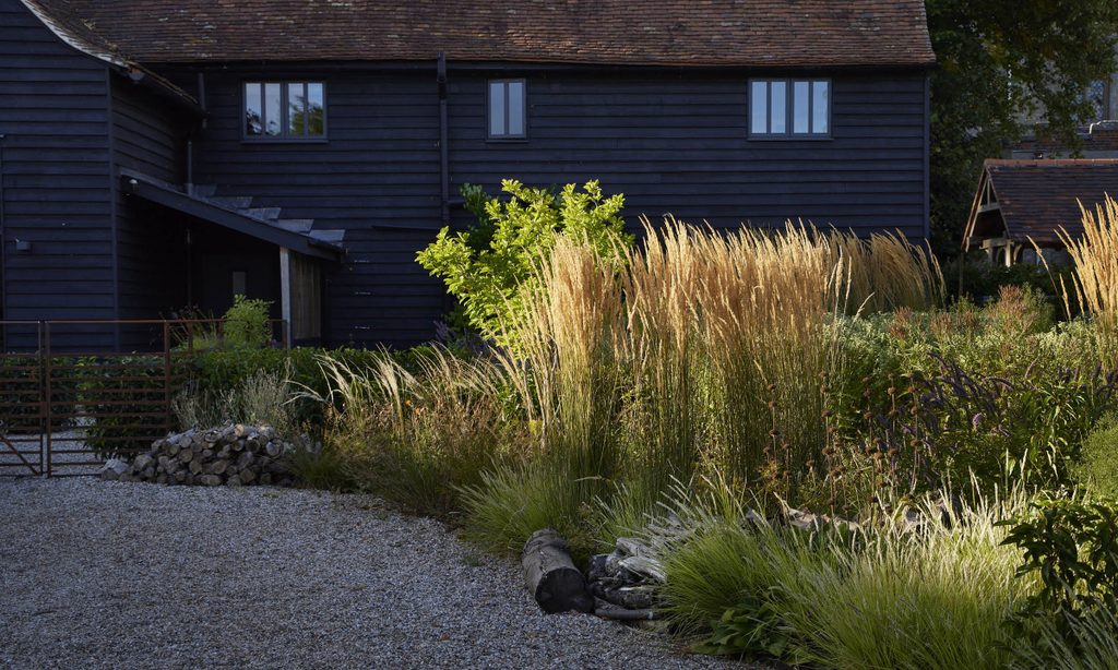 New beginnings: Church Barn in Summer — garden by Shoots & Leaves, photograph 3