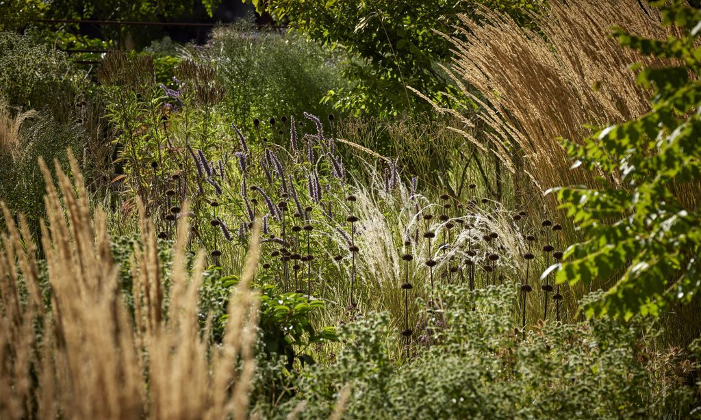 New beginnings: Church Barn in Summer — garden by Shoots & Leaves, photograph 6