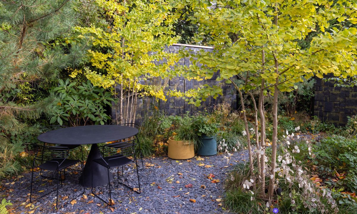 Edgy Woodland Wonderland in Autumn — garden by Shoots & Leaves, photograph 1