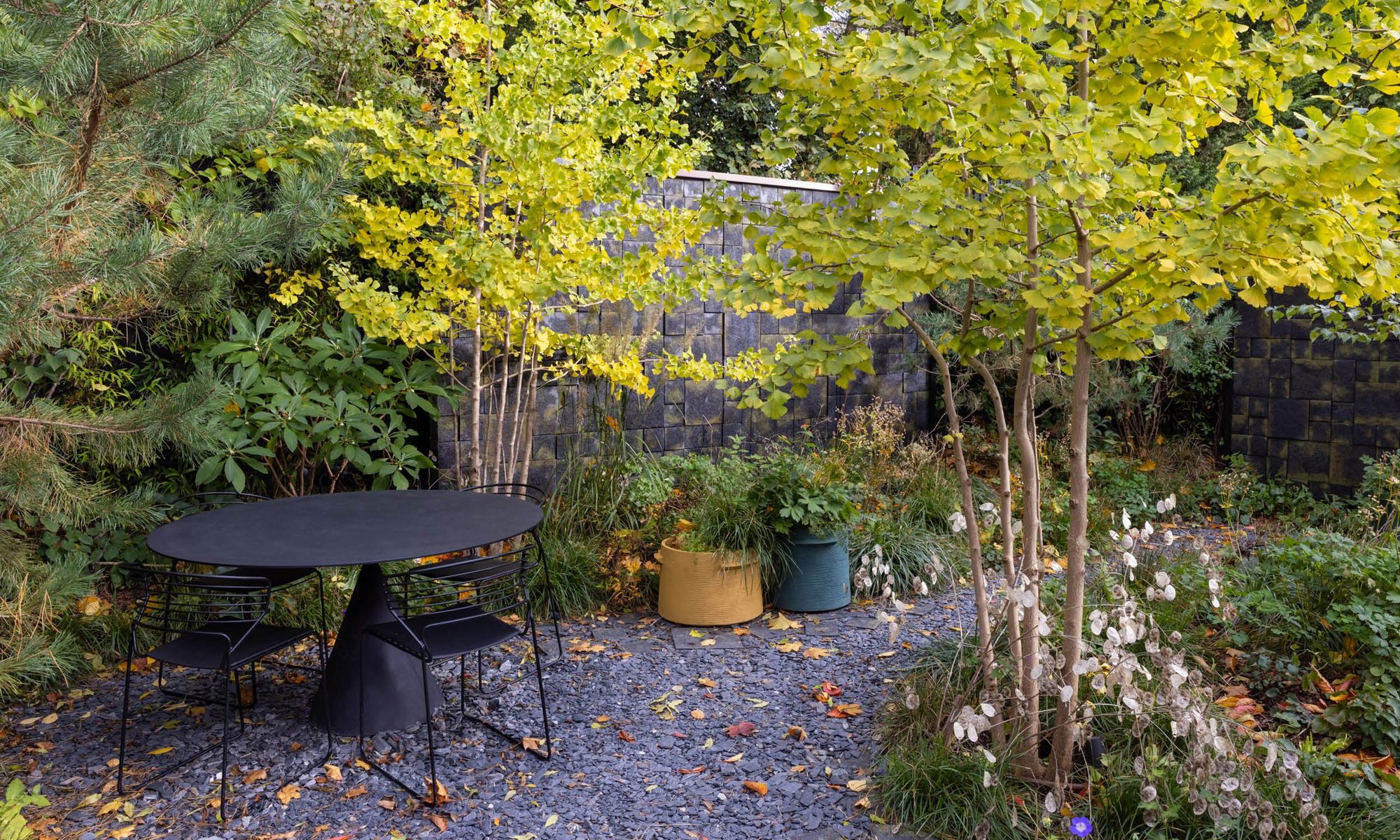 Edgy Woodland Wonderland in Autumn — garden by Shoots & Leaves, photograph 1