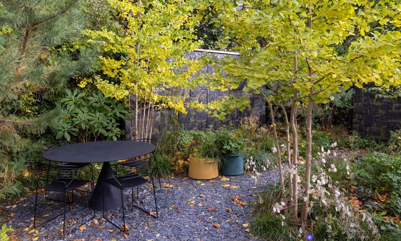 Edgy Woodland Wonderland in Autumn — garden by Shoots & Leaves, photograph 1