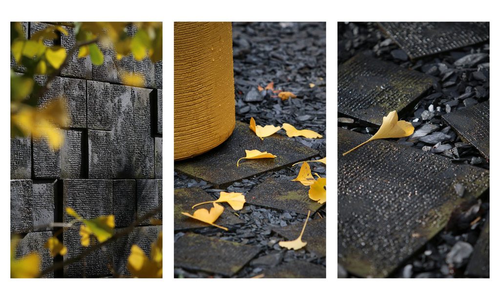 Edgy Woodland Wonderland in Autumn — garden by Shoots & Leaves, photograph 14