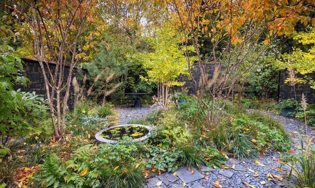 Edgy Woodland Wonderland in Autumn — garden by Shoots & Leaves, photograph 2