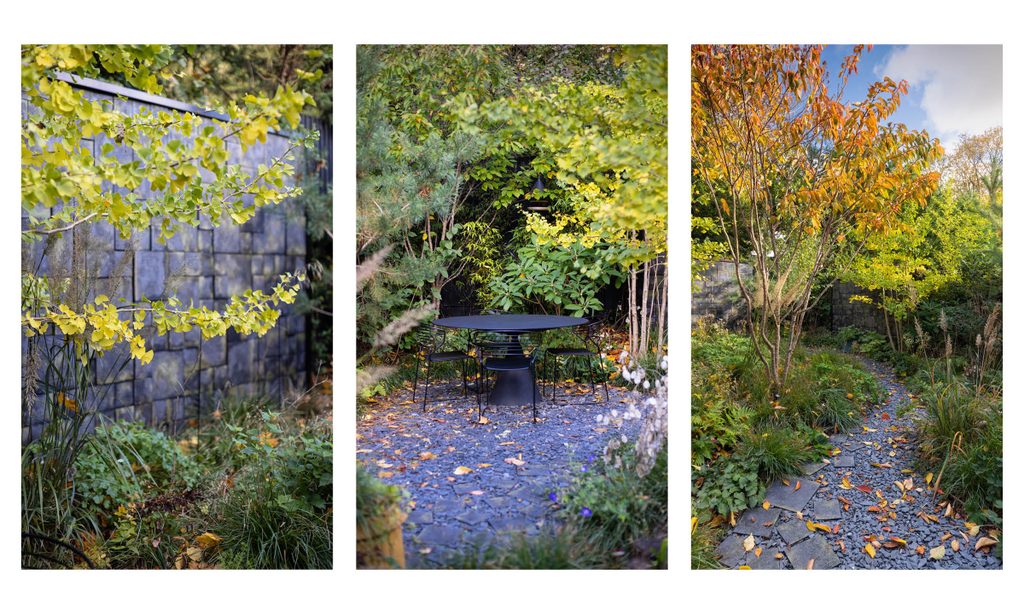 Edgy Woodland Wonderland in Autumn — garden by Shoots & Leaves, photograph 3