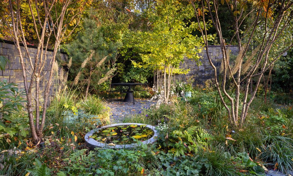 Edgy Woodland Wonderland in Autumn — garden by Shoots & Leaves, photograph 4