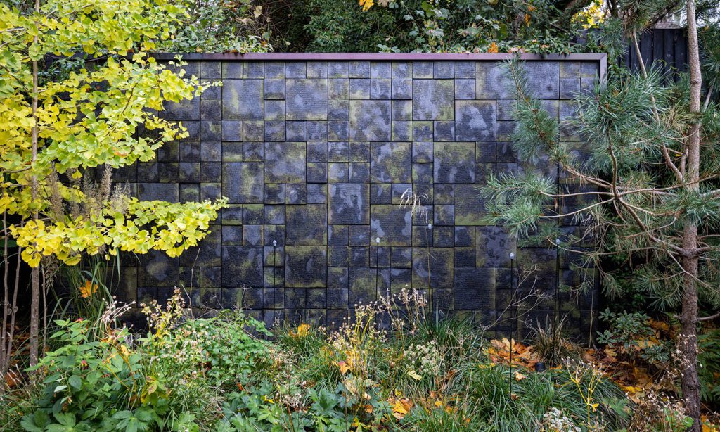 Edgy Woodland Wonderland in Autumn — garden by Shoots & Leaves, photograph 6