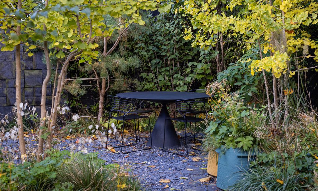 Edgy Woodland Wonderland in Autumn — garden by Shoots & Leaves, photograph 8