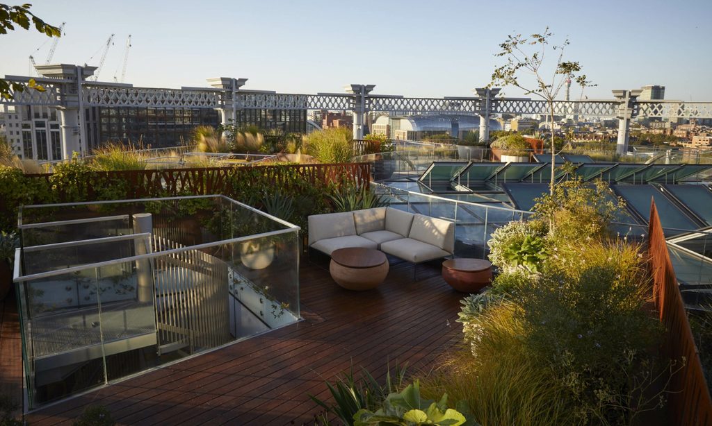 Bird's-Eye View — garden by Shoots & Leaves, photograph 4