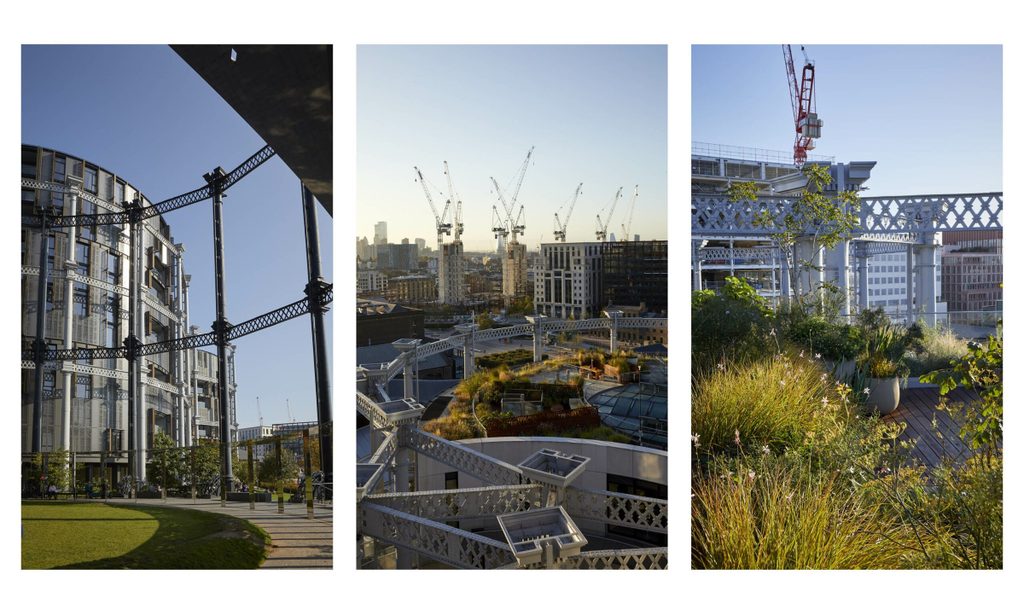Bird's-Eye View — garden by Shoots & Leaves, photograph 12