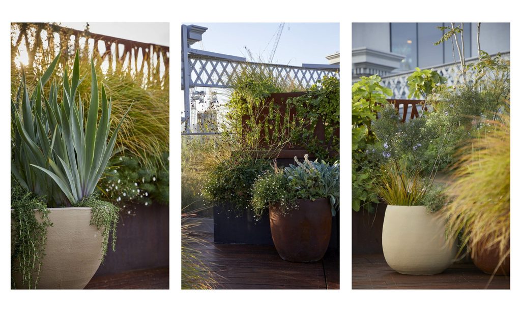 Bird's-Eye View — garden by Shoots & Leaves, photograph 13
