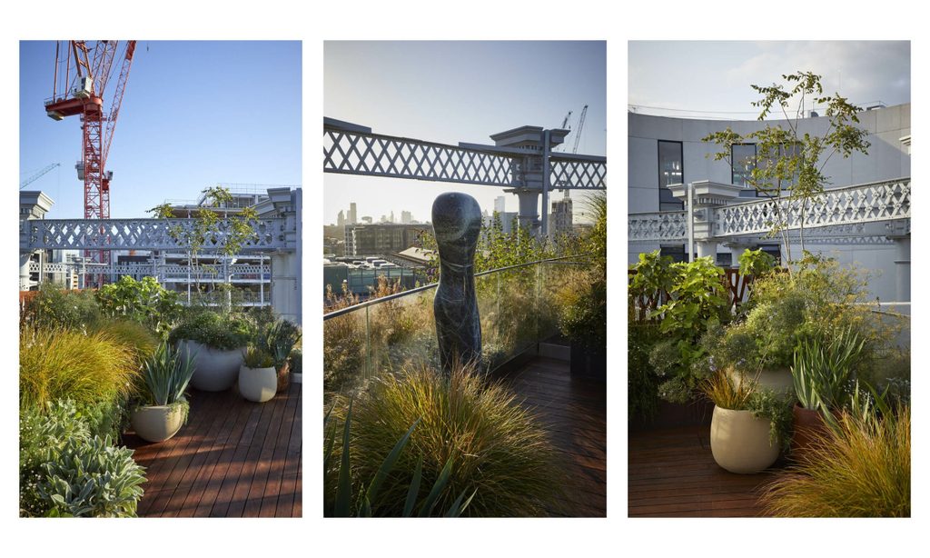 Bird's-Eye View — garden by Shoots & Leaves, photograph 6