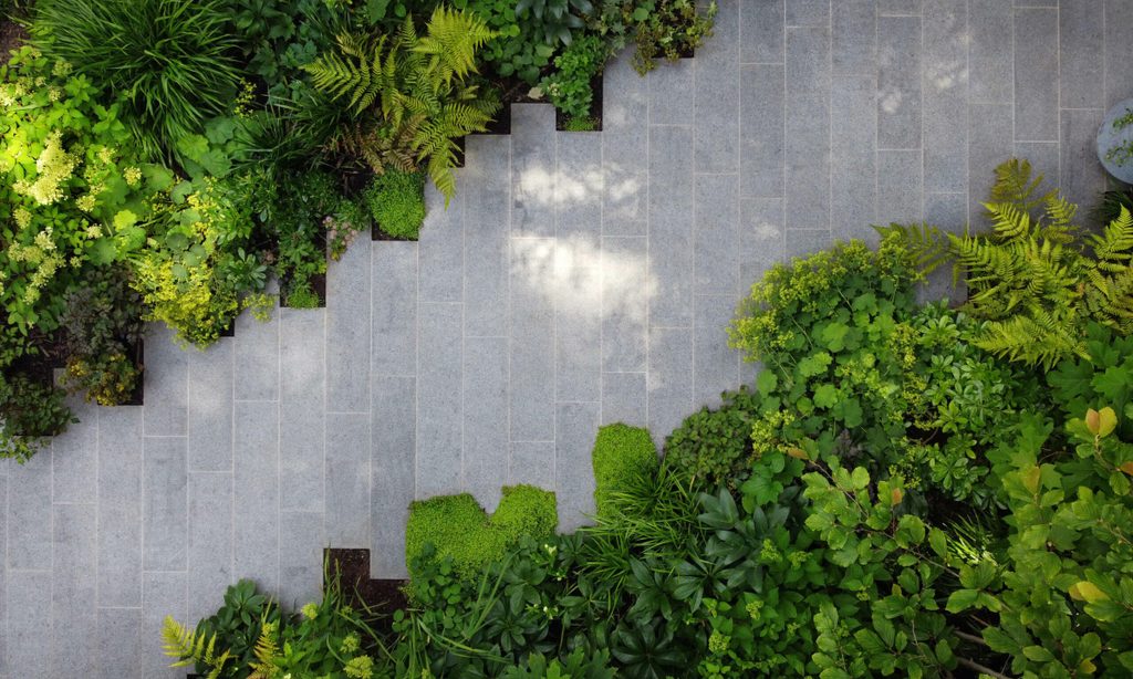 Cool and Calm in North London — garden by Shoots & Leaves, photograph 10