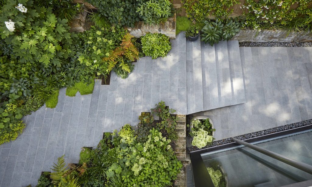 Cool and Calm in North London — garden by Shoots & Leaves, photograph 12
