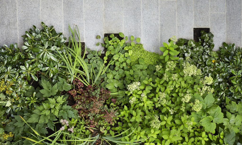 Cool and Calm in North London — garden by Shoots & Leaves, photograph 5