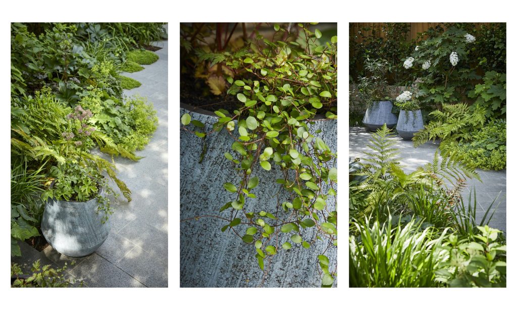 Cool and Calm in North London — garden by Shoots & Leaves, photograph 15