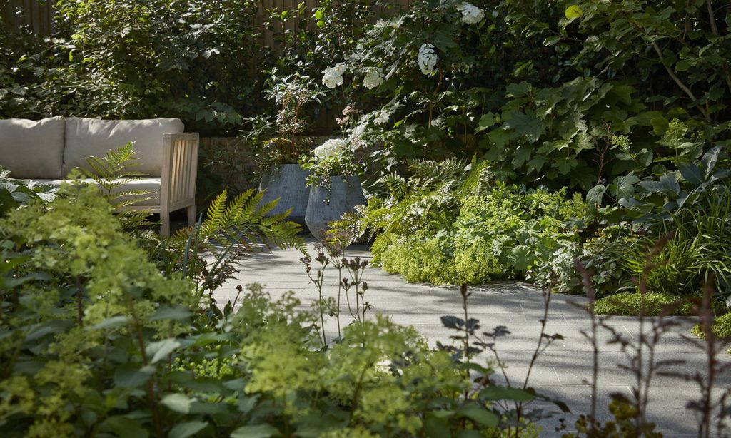 Cool and Calm in North London — garden by Shoots & Leaves, photograph 2