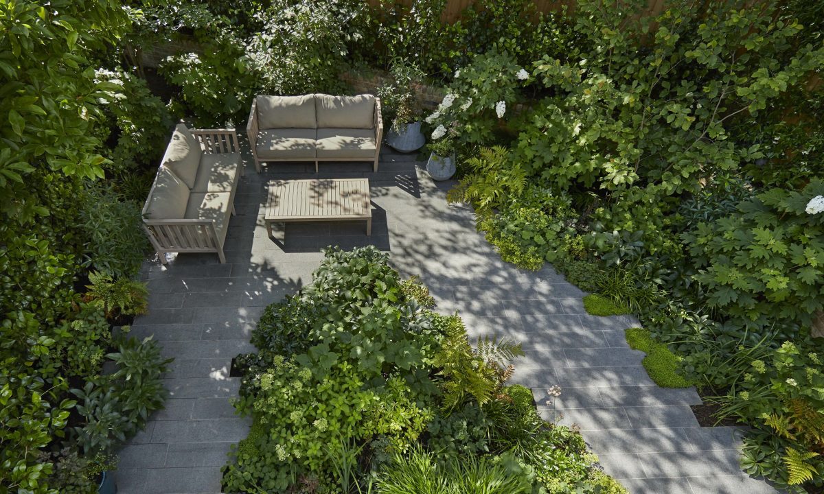 Cool and Calm in North London — garden by Shoots & Leaves, photograph 1