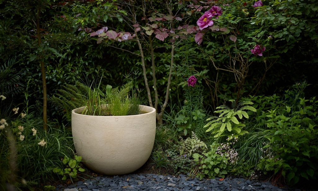The Photographer’s Garden — garden by Shoots & Leaves, photograph 11