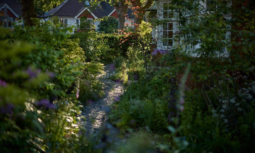 The Photographer’s Garden — garden by Shoots & Leaves, photograph 12
