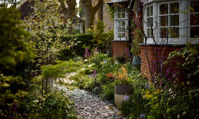 The Photographer’s Garden — garden by Shoots & Leaves, photograph 1