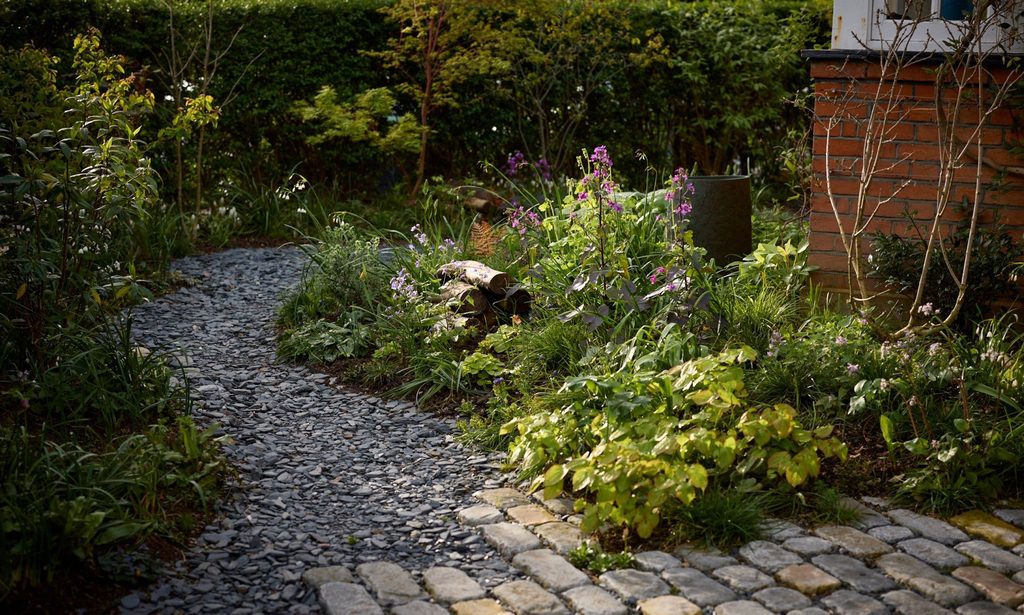 The Photographer’s Garden — garden by Shoots & Leaves, photograph 17