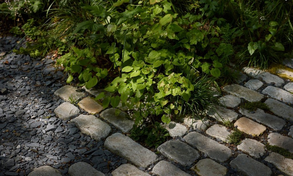 The Photographer’s Garden — garden by Shoots & Leaves, photograph 18