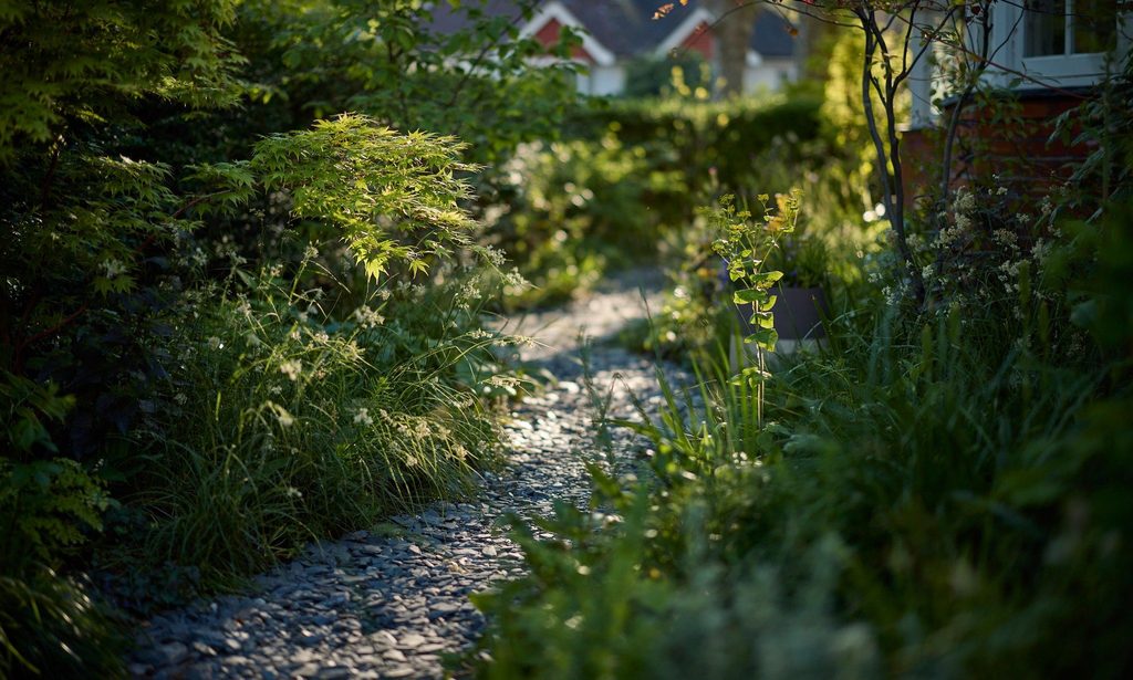 The Photographer’s Garden — garden by Shoots & Leaves, photograph 21