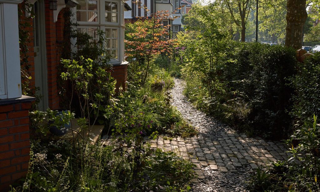The Photographer’s Garden — garden by Shoots & Leaves, photograph 5