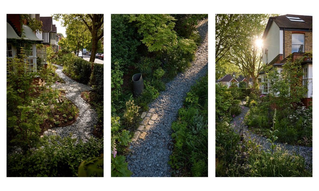 The Photographer’s Garden — garden by Shoots & Leaves, photograph 6